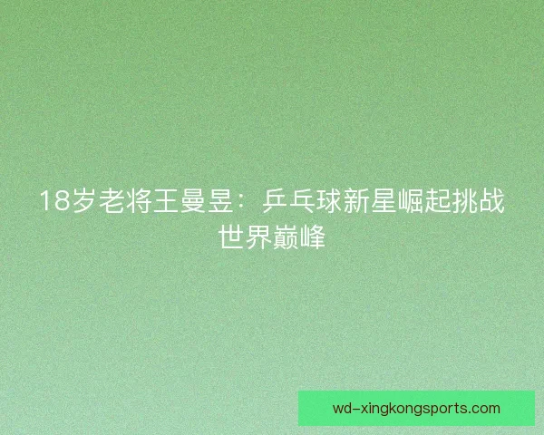 18岁老将王曼昱：乒乓球新星崛起挑战世界巅峰