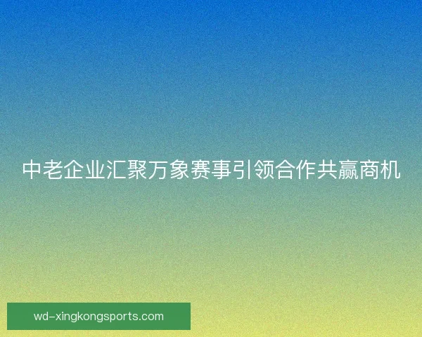中老企业汇聚万象赛事引领合作共赢商机